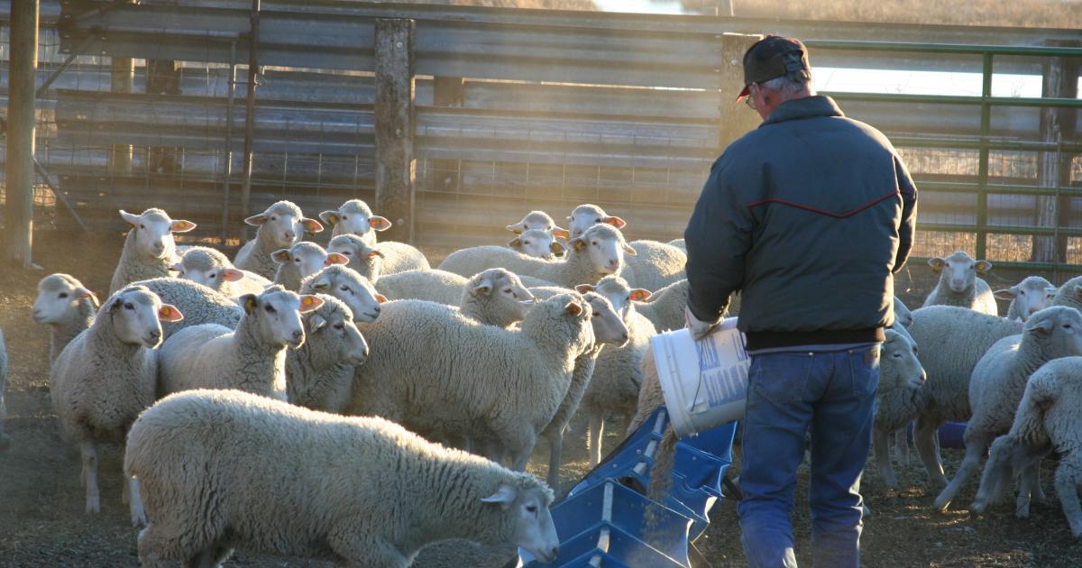Hayvancılık Eğitim Semineri Düzenlendi