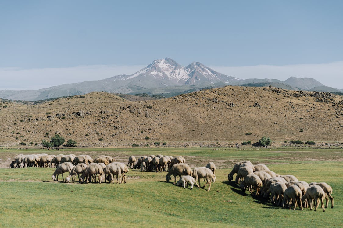 Tarım Bakanlığı Destekleri Açıklandı